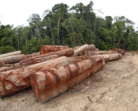 dcd68f4bd8d8adf029b821f4065ef19d_S