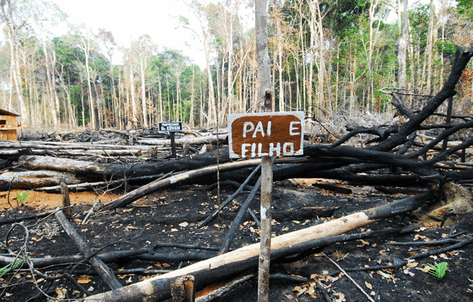 manaus-amazonas-amazonia-Ipaam-espera-cadastro-propriedades-zonas-rurais-Amazonas_ACRIMA20140610_0018_15