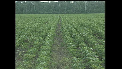 86243e6572c1d1eb08bcafe32c95e5e187ff9f17