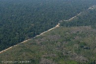 BR 163 Highway in the Amazon
