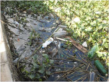 No-Bosque-da-Vera-Paz-mato-e-lixo-fazem-do-local-um-péssimo-cartão-postal