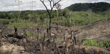 thumb_23_07_2014_094441_desmatamento