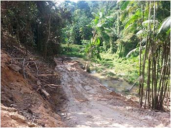 O-proprietário-foi-identificado-e-enquadrado-por-causar-crime-ambiental-em-áreas-de-preservação-permanente-e-unidades-de-conservação