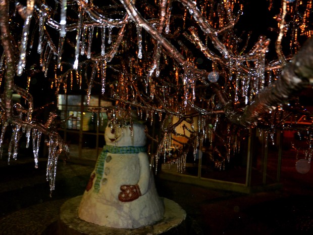 sao_joaquim_-_arvores_congeladas_noite_1_1