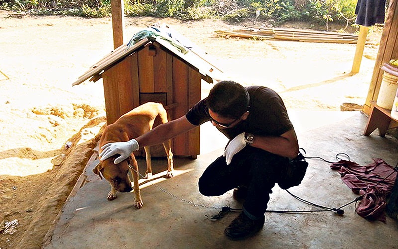 Homem é autuado por maltratar cachorro (Foto: Divulgação/Polícia Civil)