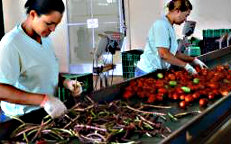 destaque-300359-alimento