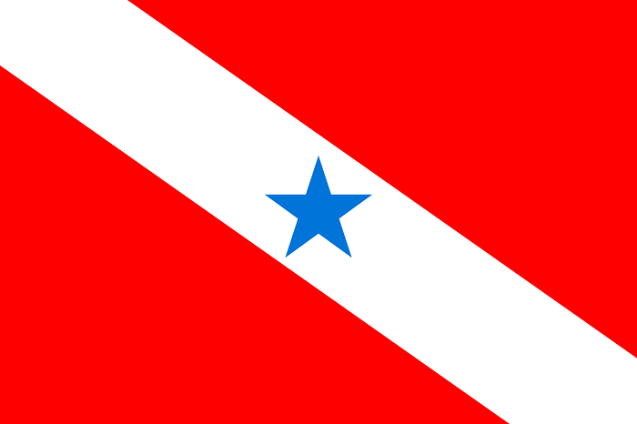 Bandeira_do_Pará_svg