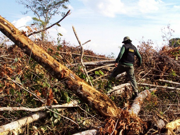 Área desmatada na região de Mato Grosso, localizada por agentes do Ibama em agosto deste ano (Foto: Hebert Rondon/Ibama)
