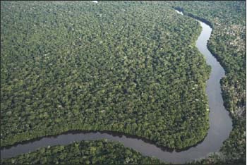 Asimas-acusa-Greenpeace-de-trabalhar-para-grupos-internacionais-que-estão-de-olho-na-Amazônia