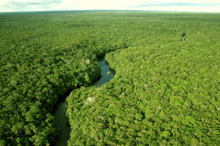 amazonia_o_maior_patrimonio_do_pais_em_biodversidade
