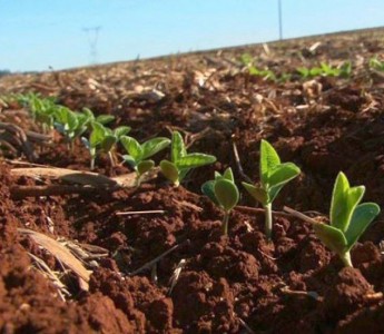 d0a597182db1ee97a111f5169885384a