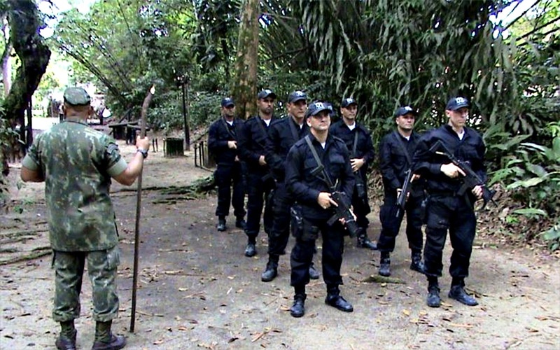 destaque-312744-czxc