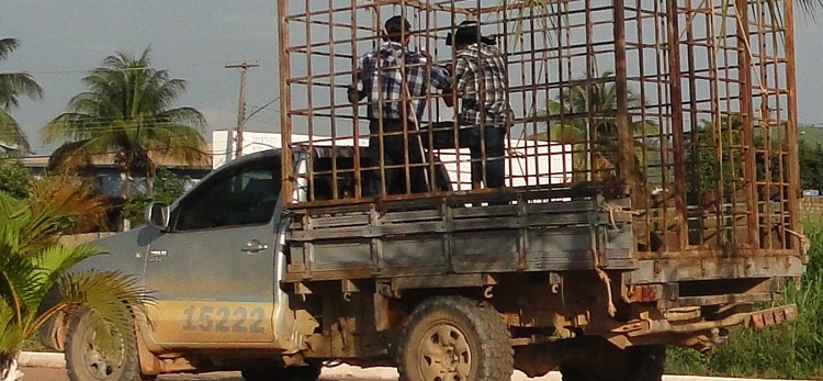 Vereador Luizão (PMDB), flarado transportando passageiro em carroceira boiadeiro com veiculo irregular junto a justiça eleitoral.