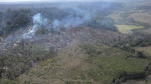 Área desmatada irregularmente (foto Ibama)