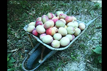 0d9d4fa338638a174dfdd1dae106897997085a4e