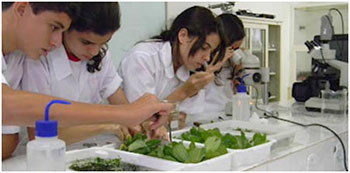 Olimpíada-brasileira-de-Biologia