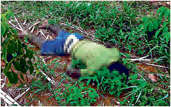 Violência-no-Pará-assusta