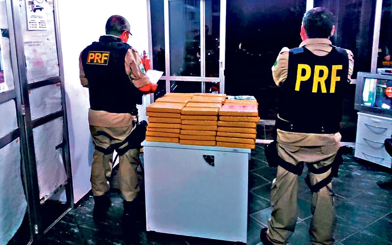 destaque-2015012633849-maconha800x500