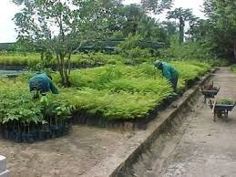 825bb8c1-e850-40e0-a780-ca35b3ef039a