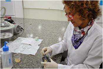 Kariane-Nunes-desenvolveu-um-gel-voltado-para-medicamentos-mais-eficaz-no-tratamento-de-vaginites-e-vaginoses