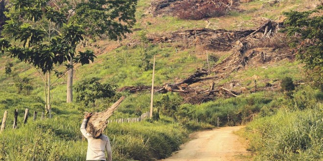 destaque-320486-terra-660x330