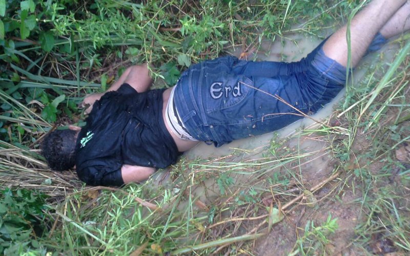 destaque-320608-breubranco