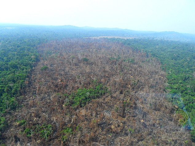 Área derrubada para formação e pasto em Novo Progresso, área de atuação de Ezequiel Castanha, conforme acusação.