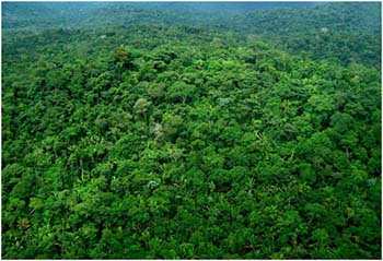 Edital-de-licitação-ignorou-informações-do-próprio-plano-de-manejo-de-que-há-famílias-indígenas-e-não-indígenas-e-patrimônio-arqueológico-nessas-áreas