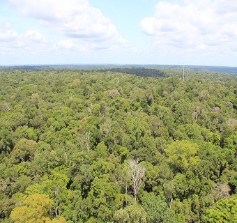 antartica-verde-inpa