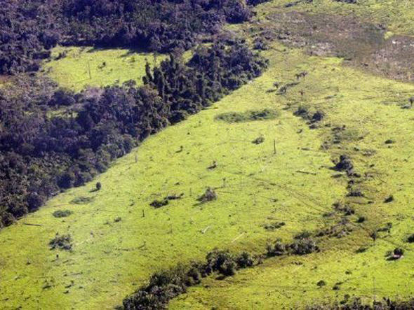 size_590_photo_1361279356398-1-0