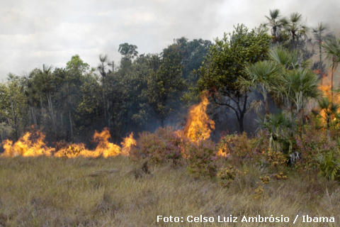 480x320xqueimada6.jpg.pagespeed.ic.iQs5MLrIoB