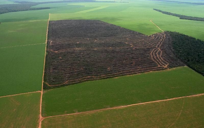 area-desmatada-dentro-de-fazen