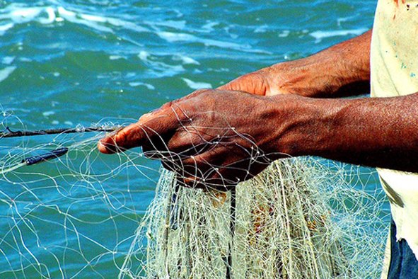 destaque-326811-pesca