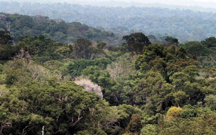 104063_697x437_crop_5569bb3268c1b