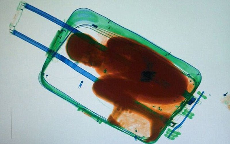 destaque-329805-cvswrt13