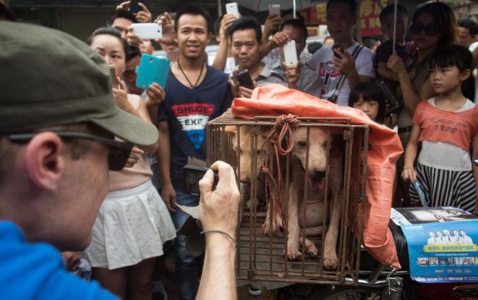 104983_697x437_crop_55886def97439