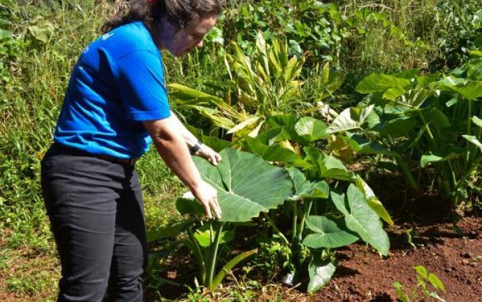 105090_697x437_crop_558bfb8b69f65