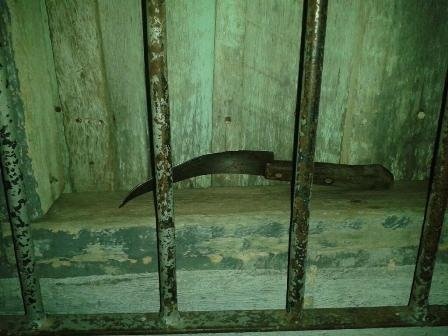 destaque-333351-destaque-245470-leonard