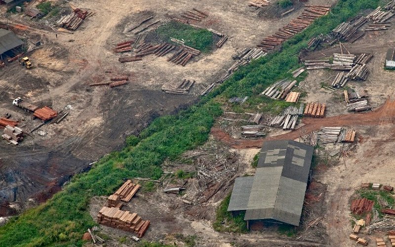 destaque-333372-madeira