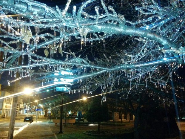 Galhos ficaram cobertos por gelo em São Joaquim nesta terça (16) (Foto: Mycchel Legnaghi/São Joaquim Online)