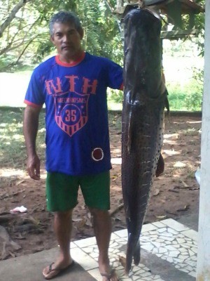 Lúcio pescou no Rio Paraguai um peixe do tamanho
dele. (Foto: Viviane Ribeiro da Silva/ Arquivo pessoal)