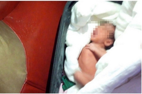 2613g5bk33_sf00u5yfk_file