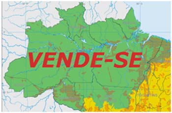 Estão-vendendo-a-Amazônia