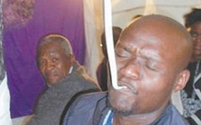 destaque-337826-cobra2