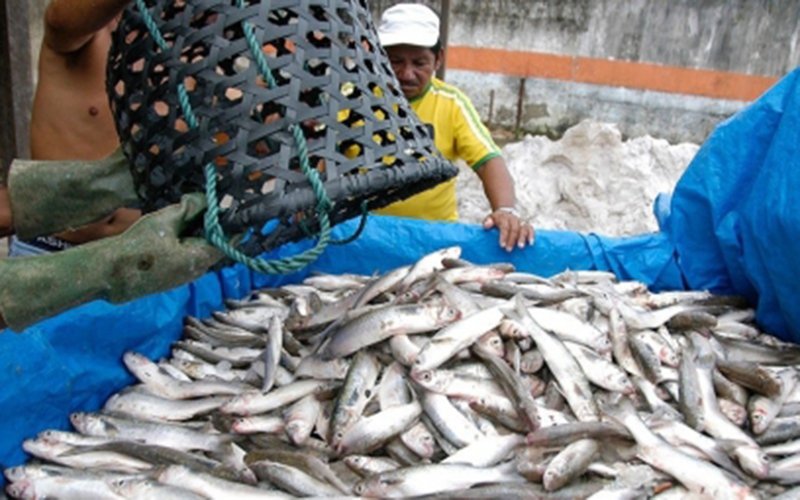 destaque-338511-ssssssss