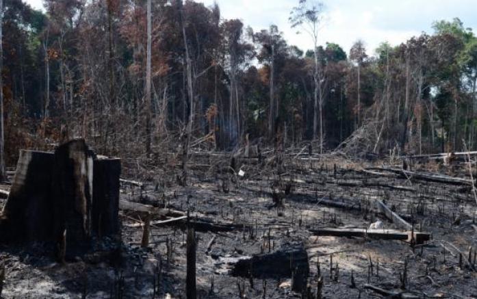 107171_697x437_crop_55d1f682b9827