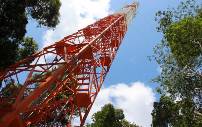 A Torre Alta ultrapassa a altura da Torre Eiffel em um metro. Infográfico: Fapeam