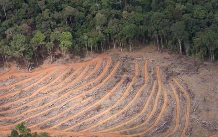 107582_697x437_crop_55df05eaa8c45