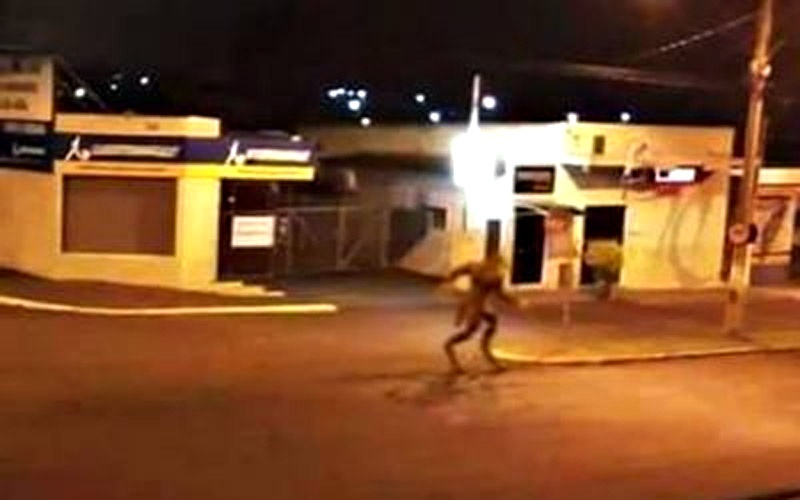 Foto de suposto lobisomem vira febre na internet (Foto: Reprodução/Twitter)