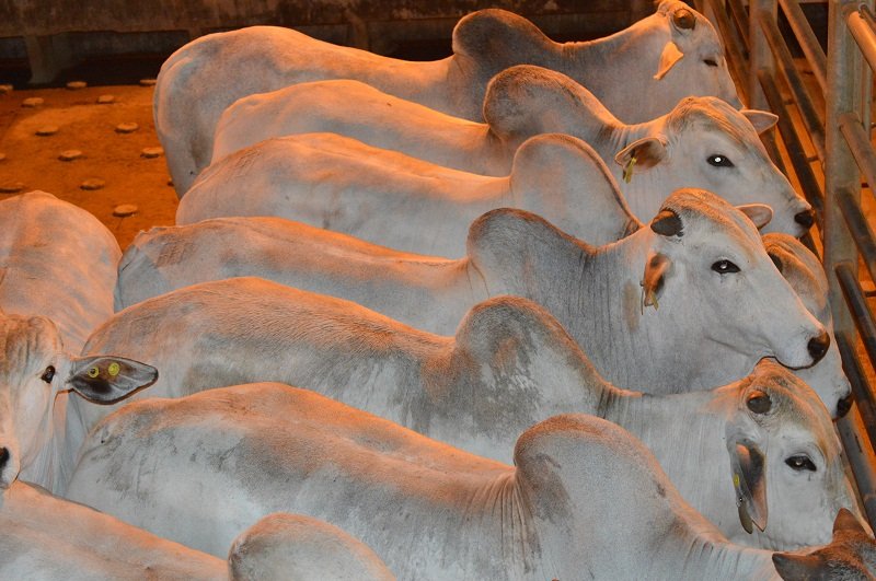 destaque-339726-dsc_0206